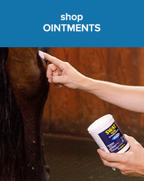 Shop Ointments